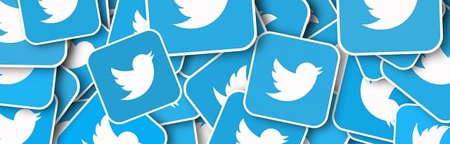 Il futuro di Twitter